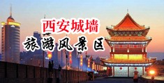 小骚逼吃大鸡巴网站资源视频中国陕西-西安城墙旅游风景区