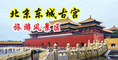 逼水直流轻点视频中国北京-东城古宫旅游风景区