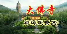 操黑色中国浙江-新昌大佛寺旅游风景区